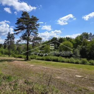 Podkarpackie. Olchowiec. Sprzedaż działek (1298/2609/OGS)