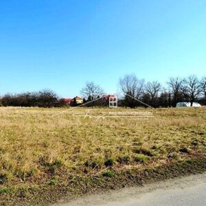 Podkarpackie. Buszkowice. Sprzedaż działek (352/2609/OGS)