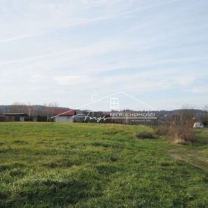 Podkarpackie. Ostrów. Sprzedaż działek (595/2609/OGS)