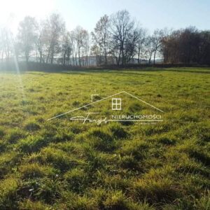 Podkarpackie. Przemyśl. ul. Ludwika Pasteura. Sprzedaż działek (1029/2609/OGS)