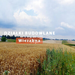 Podkarpackie. Wierzbna. Sprzedaż działek (1188/2609/OGS)