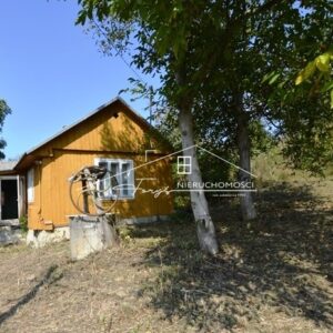 Podkarpackie. Pruchnik. Domy na sprzedaż (1096/2609/ODS)