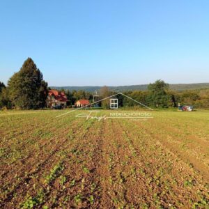 Podkarpackie. Reczpol. Sprzedaż działek (1232/2609/OGS)