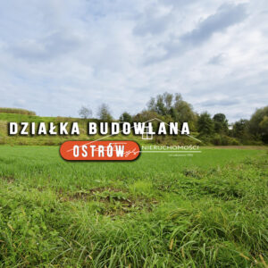 Podkarpackie. Ostrów. Sprzedaż działek (1233/2609/OGS)