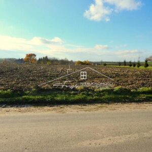 Podkarpackie. Studzian. Sprzedaż działek (1238/2609/OGS)