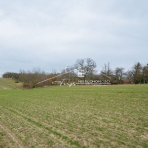 Podkarpackie. Jarosław. ul. Kruhel Pawłosiowski. Sprzedaż działek (1251/2609/OGS)