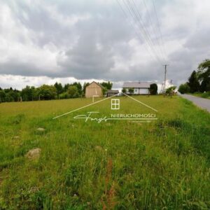 Podkarpackie. Babice. Sprzedaż działek (1256/2609/OGS)